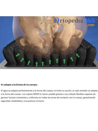 Cojín Roho Contour Select-6