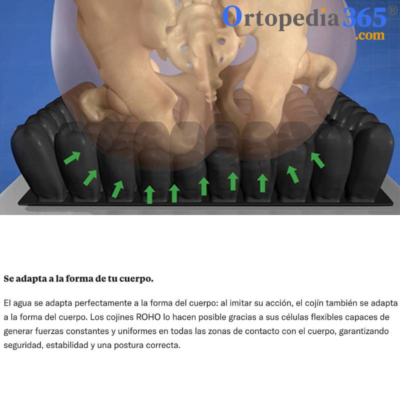 Cojín Roho Contour Select-6